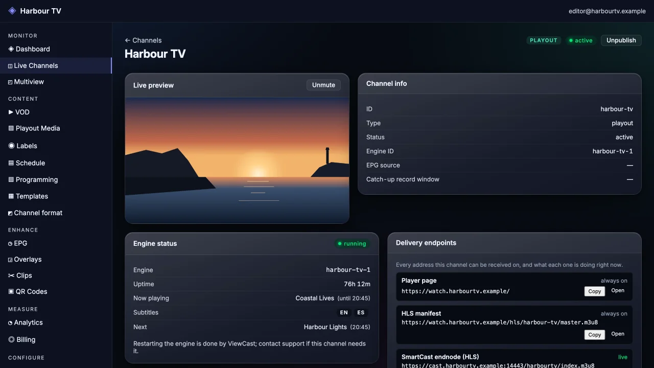 A channel page in the SmartPlay portal: live preview, engine status, delivery addresses and the schedule for today and tomorrow.